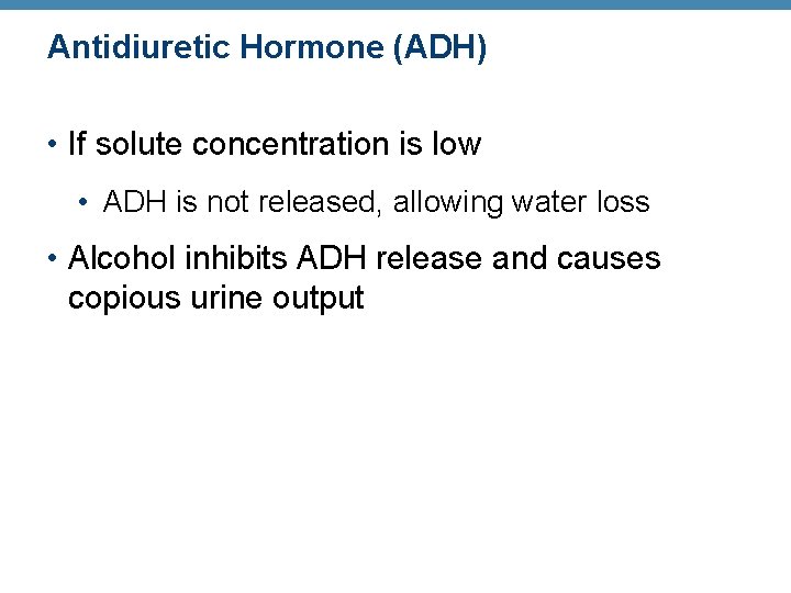 Antidiuretic Hormone (ADH) • If solute concentration is low • ADH is not released, Antidiuretic Hormone (ADH) • If solute concentration is low • ADH is not released,