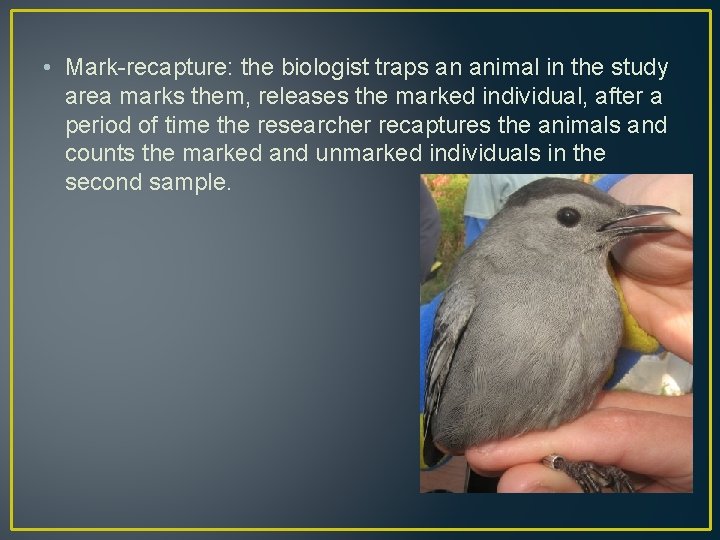  • Mark-recapture: the biologist traps an animal in the study area marks them,