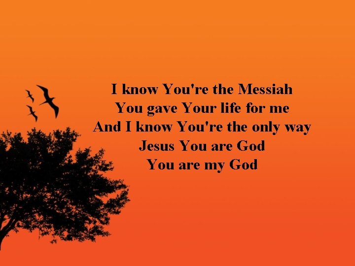I know You're the Messiah You gave Your life for me And I know