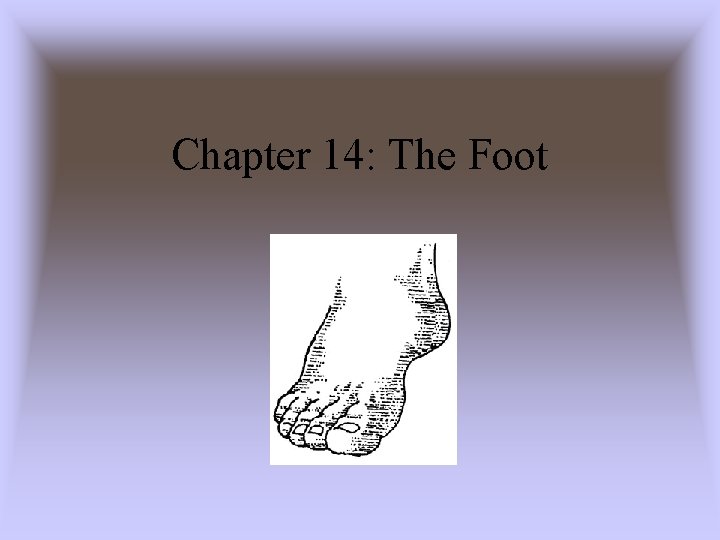 Chapter 14: The Foot 