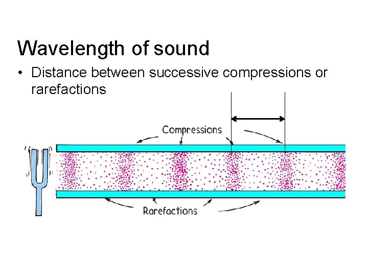 Wavelength of sound • Distance between successive compressions or rarefactions 