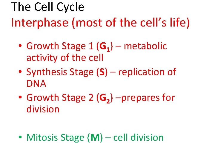 The Cell Cycle Interphase (most of the cell’s life) • Growth Stage 1 (G
