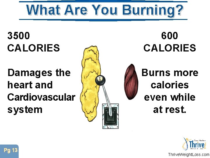 What Are You Burning? 3500 CALORIES 600 CALORIES Damages the heart and Cardiovascular system