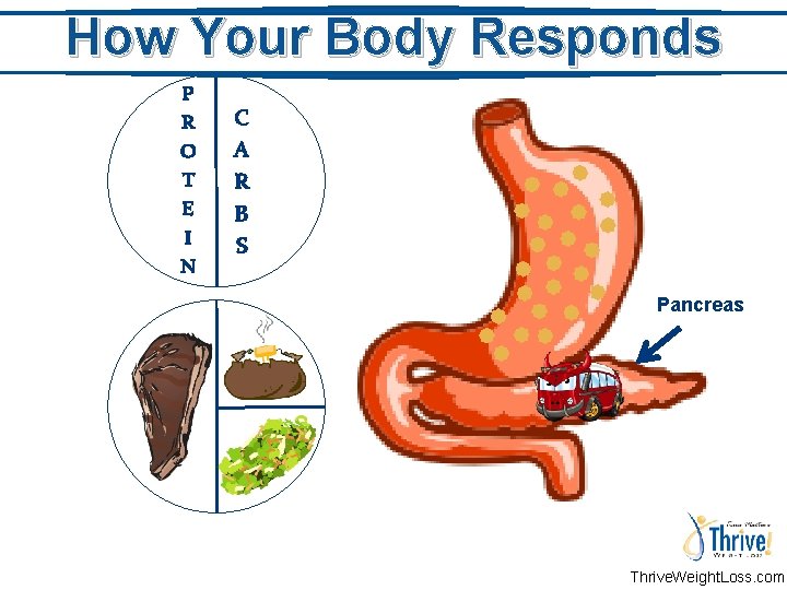 How Your Body Responds P R O T E I N C A R