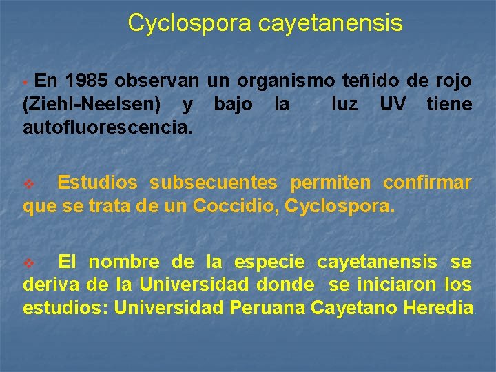 Cyclospora cayetanensis En 1985 observan un organismo teñido de rojo (Ziehl-Neelsen) y bajo la