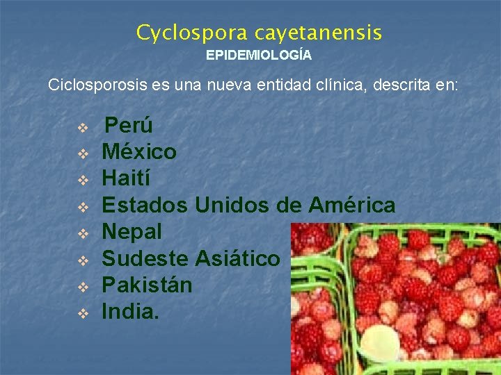 Cyclospora cayetanensis EPIDEMIOLOGÍA Ciclosporosis es una nueva entidad clínica, descrita en: v v v