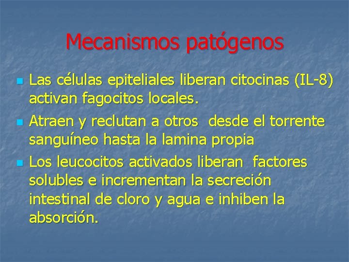 Mecanismos patógenos n n n Las células epiteliales liberan citocinas (IL-8) activan fagocitos locales.