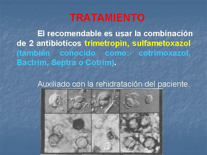 TRATAMIENTO El recomendable es usar la combinación de 2 antibíoticos trimetropin, sulfametoxazol (también conocido