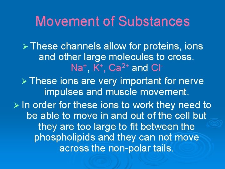 Movement of Substances Ø These channels allow for proteins, ions and other large molecules