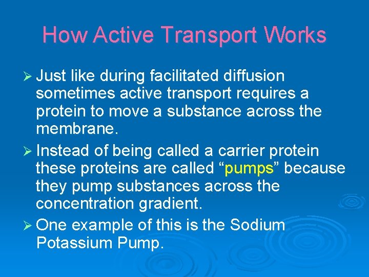 How Active Transport Works Ø Just like during facilitated diffusion sometimes active transport requires