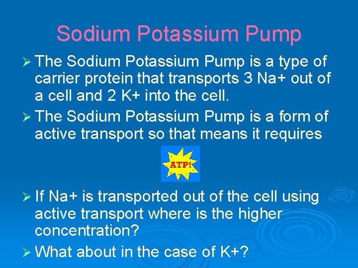 Sodium Potassium Pump Ø The Sodium Potassium Pump is a type of carrier protein