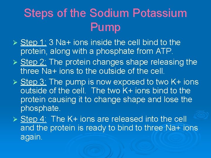 Steps of the Sodium Potassium Pump Step 1: 3 Na+ ions inside the cell