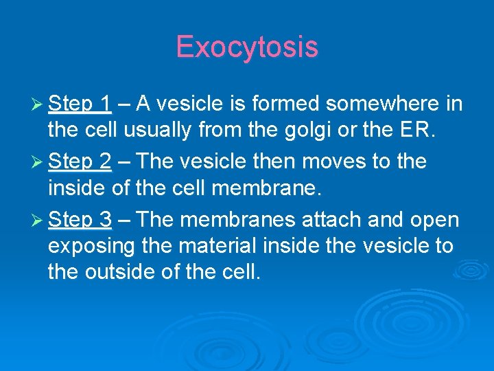Exocytosis Ø Step 1 – A vesicle is formed somewhere in the cell usually