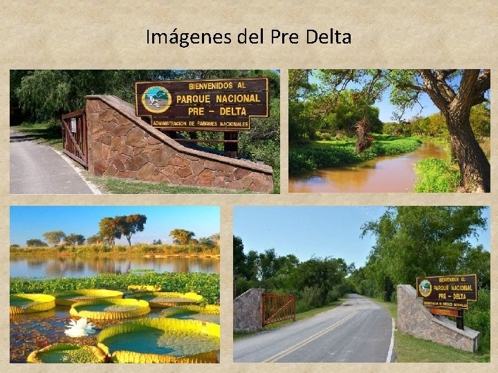Imágenes del Pre Delta 