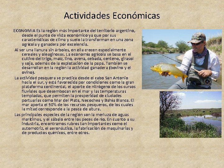 Actividades Económicas ECONOMIA Es la región más importante del territorio argentino, desde el punto