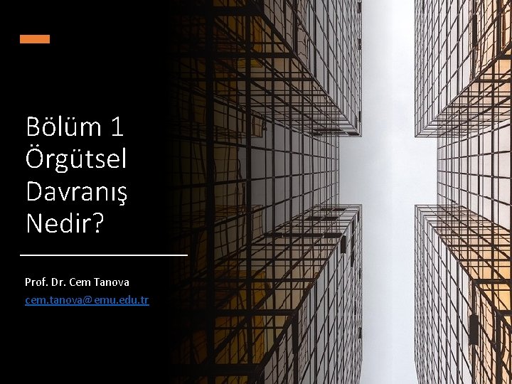 Bölüm 1 Örgütsel Davranış Nedir? Prof. Dr. Cem Tanova cem. tanova@emu. edu. tr 