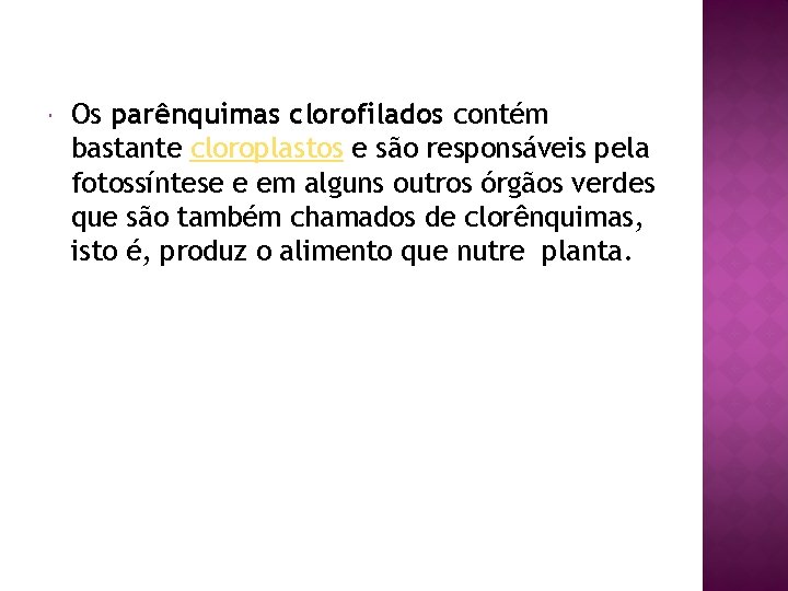  Os parênquimas clorofilados contém bastante cloroplastos e são responsáveis pela fotossíntese e em