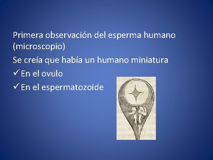 Primera observación del esperma humano (microscopio) Se creía que había un humano miniatura ü