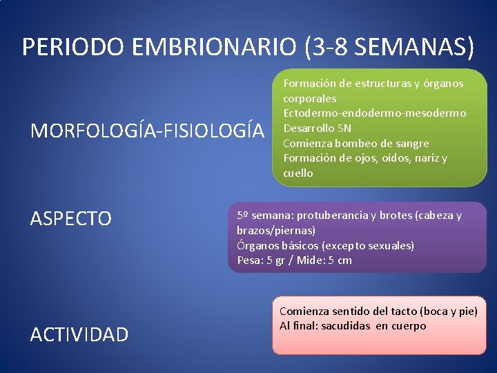 PERIODO EMBRIONARIO (3 -8 SEMANAS) MORFOLOGÍA-FISIOLOGÍA ASPECTO ACTIVIDAD Formación de estructuras y órganos corporales