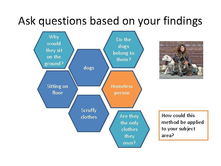 Ask questions based on your findings Why would they sit on the ground? Do Ask questions based on your findings Why would they sit on the ground? Do