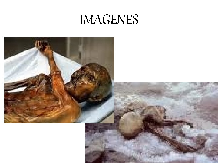 IMAGENES 