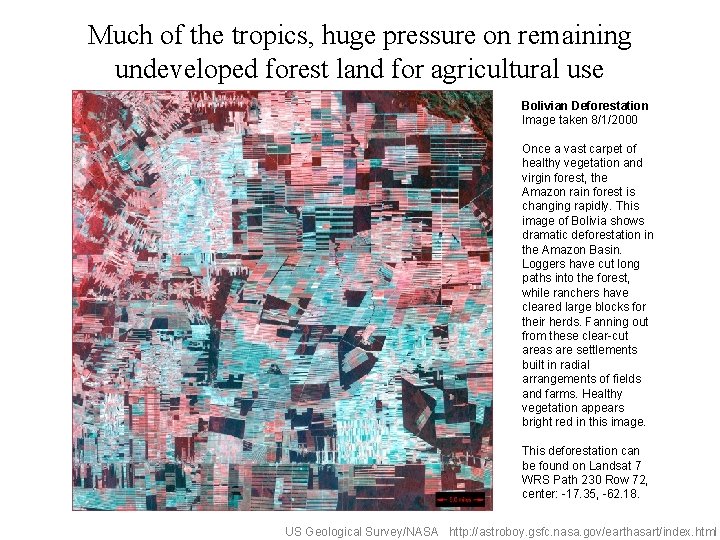 Much of the tropics, huge pressure on remaining undeveloped forest land for agricultural use