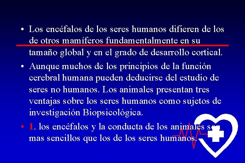  • Los encéfalos de los seres humanos difieren de los de otros mamíferos