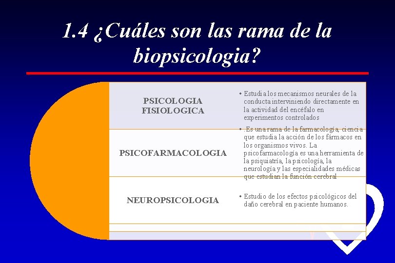 1. 4 ¿Cuáles son las rama de la biopsicologia? PSICOLOGIA FISIOLOGICA • Estudia los