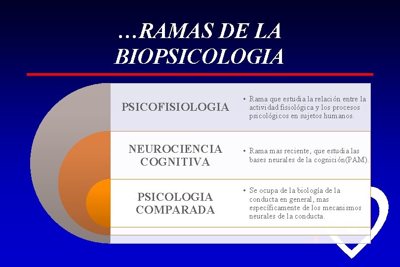 …RAMAS DE LA BIOPSICOLOGIA PSICOFISIOLOGIA • Rama que estudia la relación entre la actividad