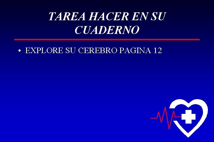TAREA HACER EN SU CUADERNO • EXPLORE SU CEREBRO PAGINA 12 