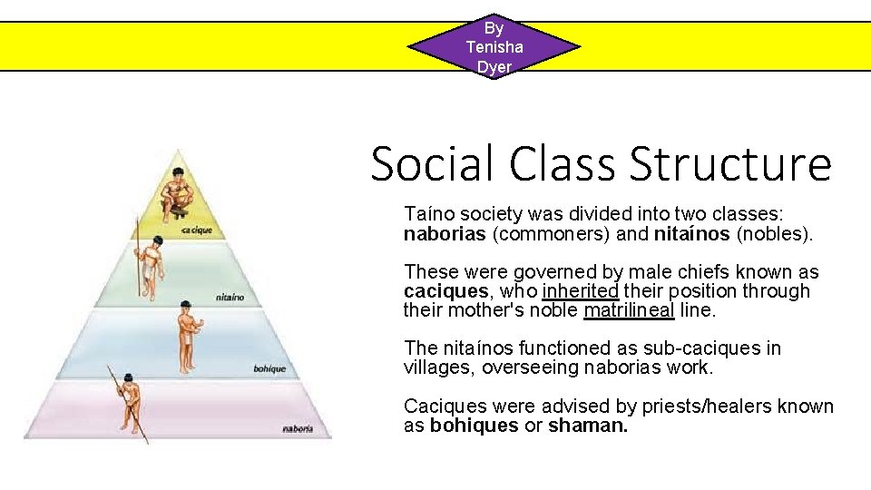 Te By Tenisha Dyer Social Class Structure Taíno society was divided into two classes: