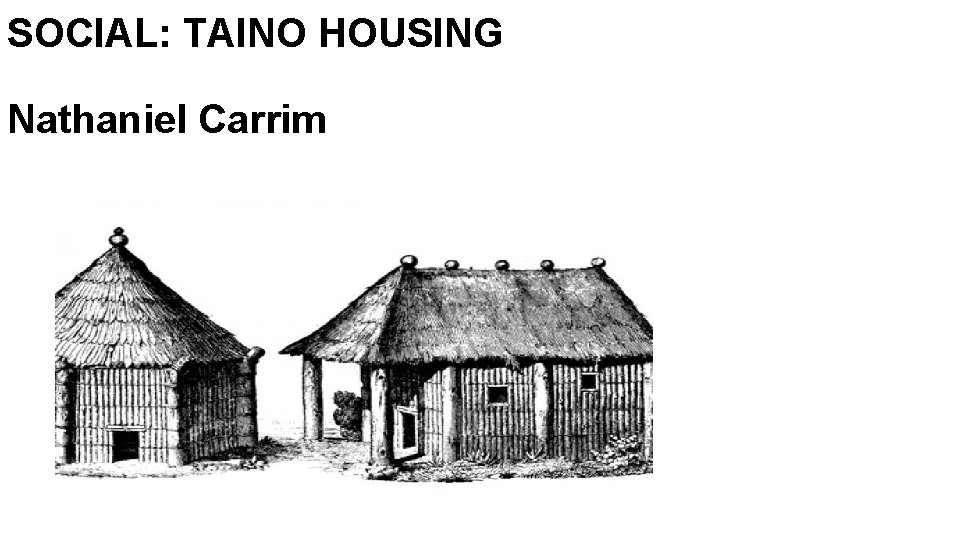 SOCIAL: TAINO HOUSING Nathaniel Carrim 