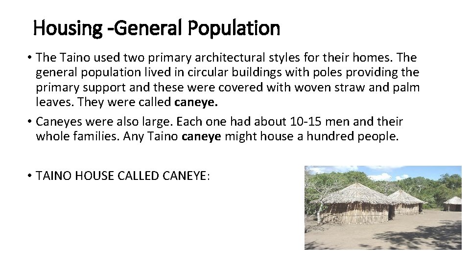 Housing -General Population • The Taino used two primary architectural styles for their homes.