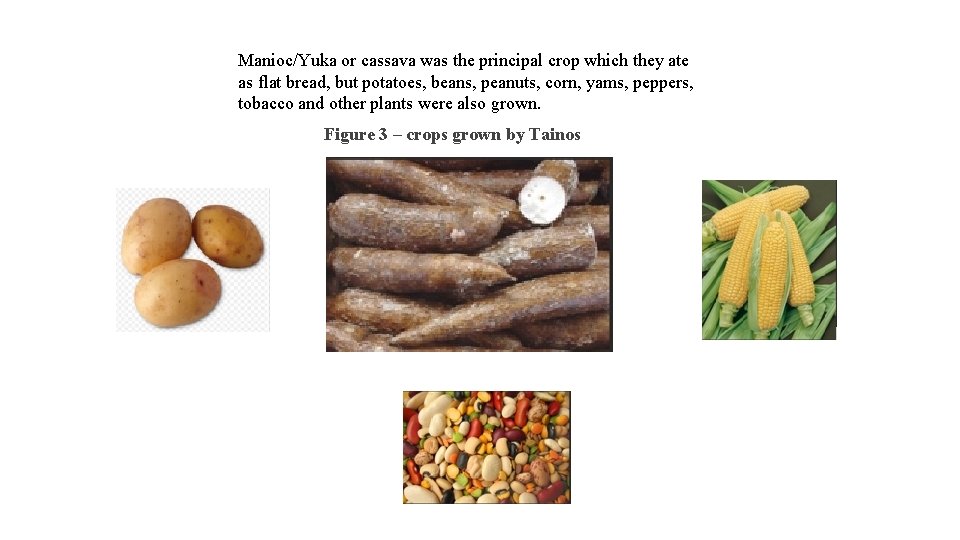 Manioc/Yuka or cassava was the principal crop which they ate as flat bread, but