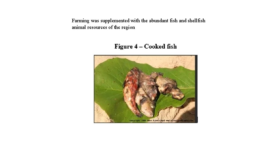 Farming was supplemented with the abundant fish and shellfish animal resources of the region