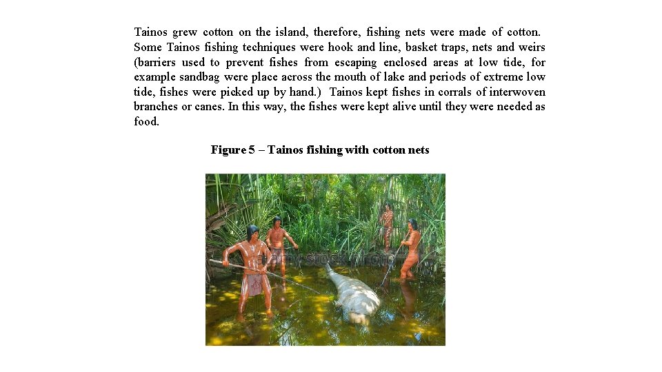 Tainos grew cotton on the island, therefore, fishing nets were made of cotton. Some