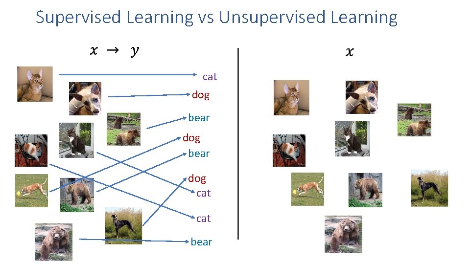 Supervised Learning vs Unsupervised Learning cat dog bear dog cat bear 