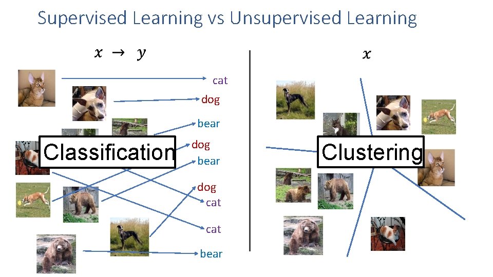 Supervised Learning vs Unsupervised Learning cat dog bear Classification dog bear dog cat bear