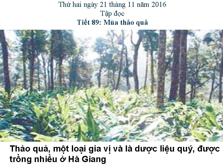 Thứ hai ngày 21 tháng 11 năm 2016 Tập đọc Tiết 89: Mùa thảo