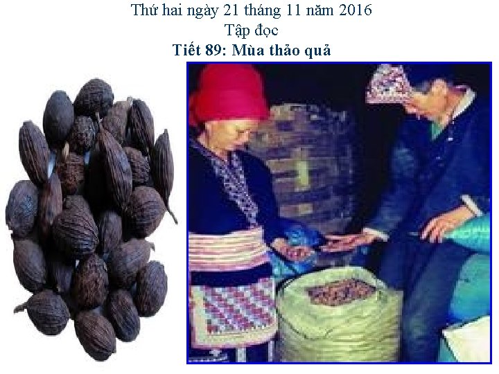 Thứ hai ngày 21 tháng 11 năm 2016 Tập đọc Tiết 89: Mùa thảo