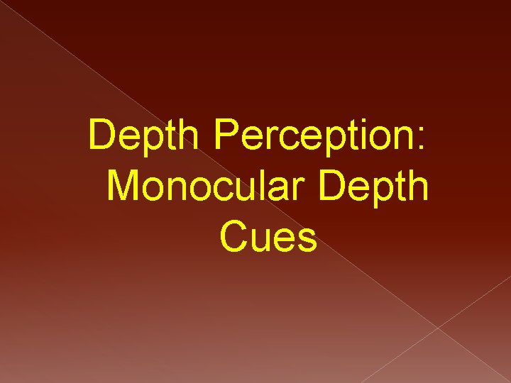 Depth Perception: Monocular Depth Cues 