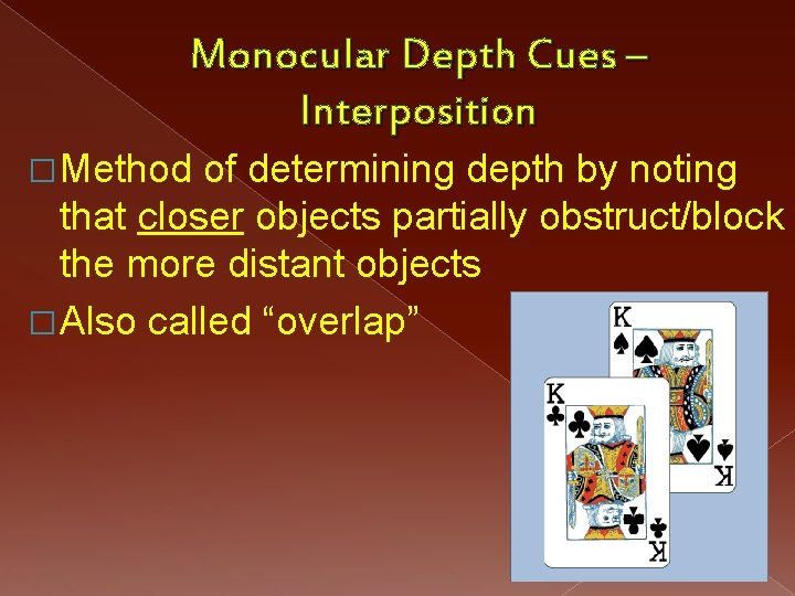 Monocular Depth Cues – Interposition � Method of determining depth by noting that closer