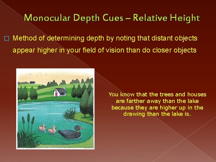 Monocular Depth Cues – Relative Height � Method of determining depth by noting that