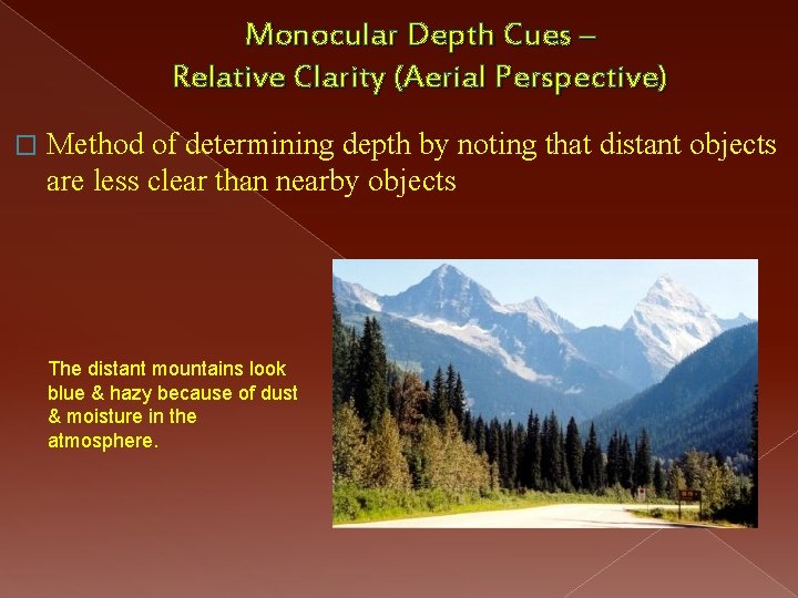 Monocular Depth Cues – Relative Clarity (Aerial Perspective) � Method of determining depth by