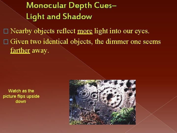 Monocular Depth Cues– Light and Shadow � Nearby objects reflect more light into our