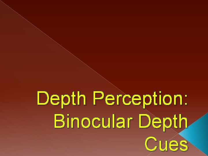 Depth Perception: Binocular Depth Cues 