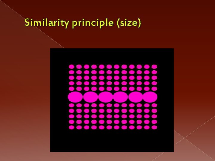 Similarity principle (size) 