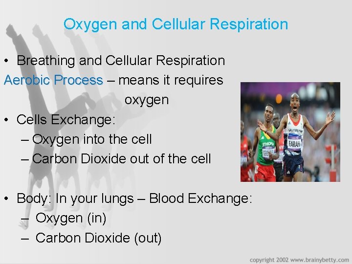Oxygen and Cellular Respiration • Breathing and Cellular Respiration Aerobic Process – means it