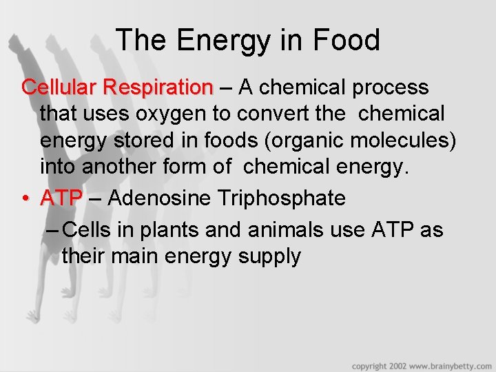 The Energy in Food Cellular Respiration – A chemical process that uses oxygen to
