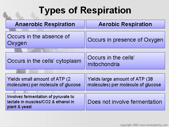 Types of Respiration Anaerobic Respiration Aerobic Respiration Occurs in the absence of Oxygen Occurs